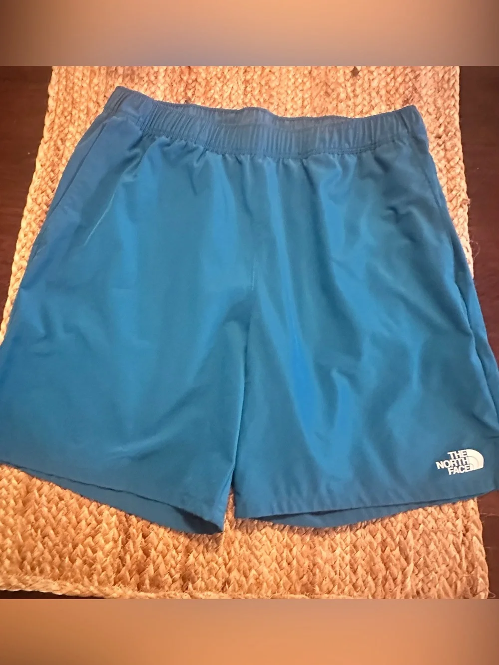 The North Face Men's Teal Blue Athletic Shorts